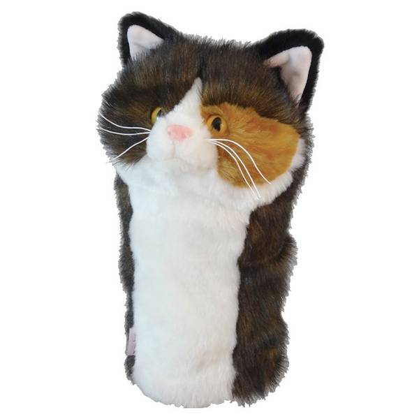 Daphnes Tortoiseshell Cat 